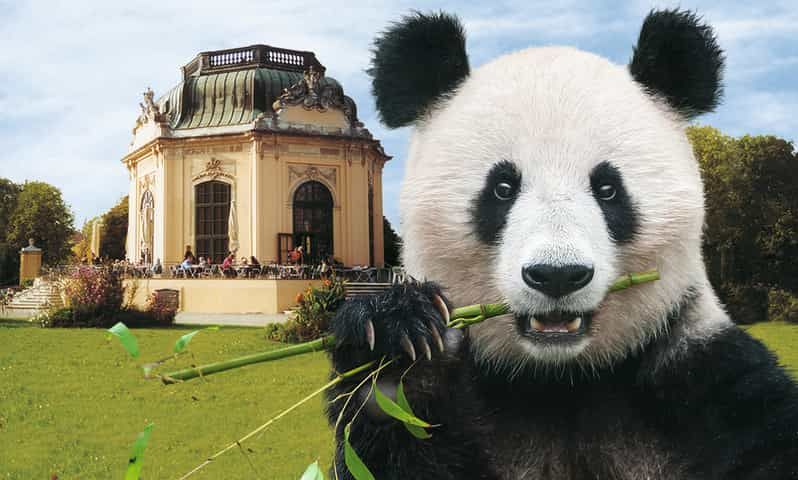 Imagen del tour: Viena: tickets sin colas para el zoo de Schönbrunn