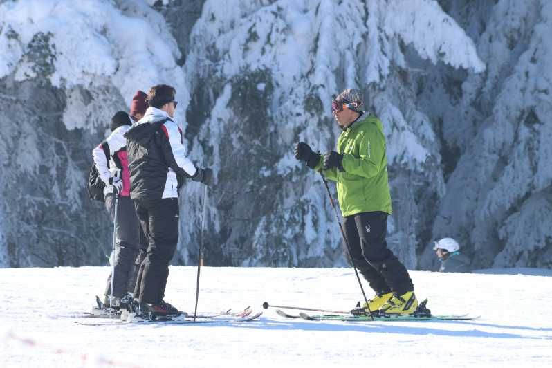 Imagen del tour: Borovets: Clases en grupo de esquí o snowboard para todos los niveles