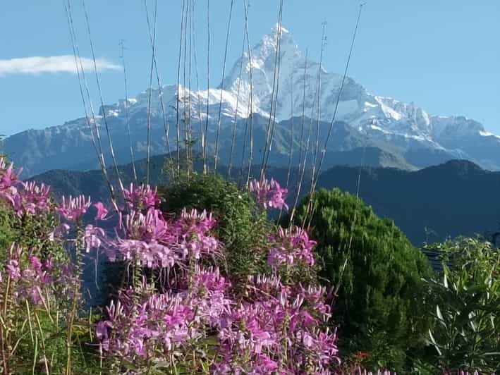 Imagen del tour: Pokhara: Excursión de 3 días