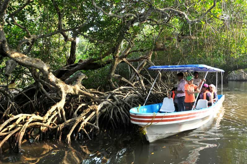 Imagen del tour: Desde Veracruz: tour de naturaleza y marisco a Mandinga