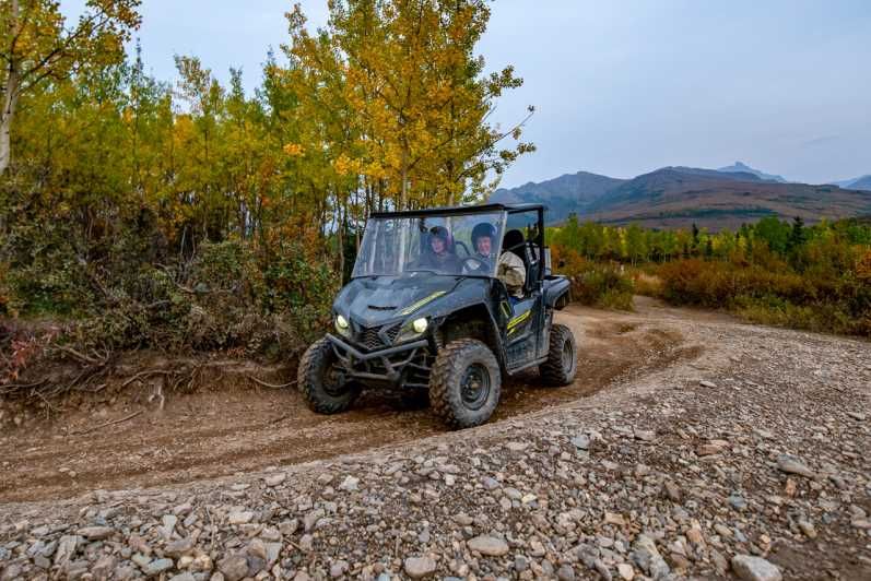 Imagen del tour: Parque Nacional de Denali: Aventura salvaje en quad