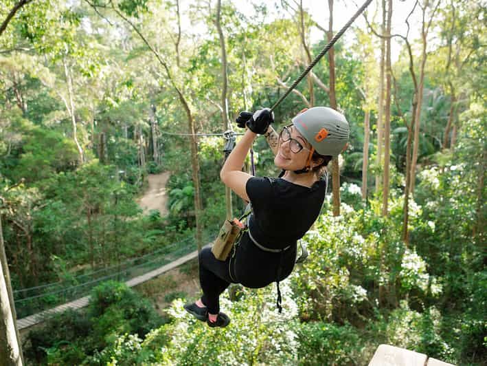 Imagen del tour: Montaña Tamborine: Desafío en la copa de los árboles en el Parque Aventura