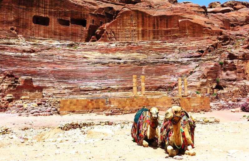Imagen del tour: Ammán o Swemeh: Excursión de un día a Petra y Wadi Rum con recogida en el hotel