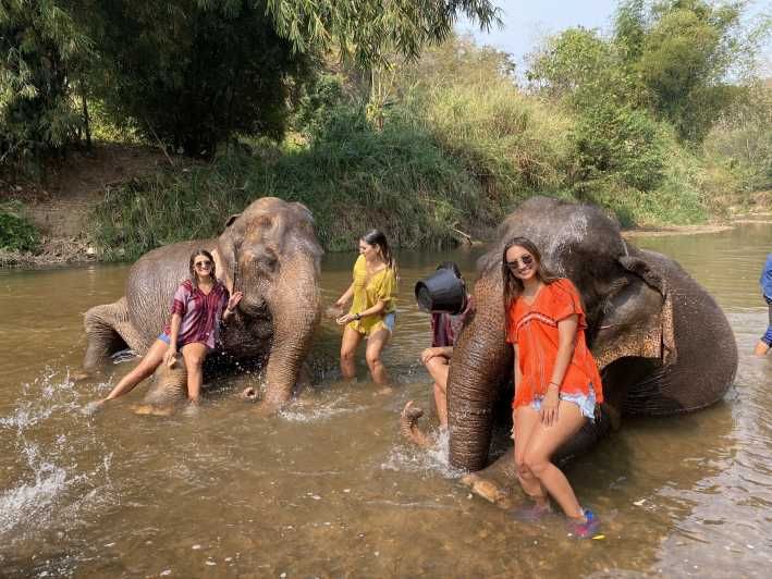 Imagen del tour: Chiang Mai: Excursión al Santuario de Elefantes y a la Cascada Pegajosa