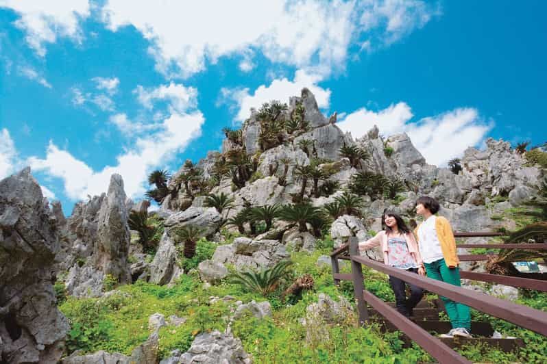 Imagen del tour: Curso para disfrutar del Parque Nacional del Norte de Okinawa【C-curso】