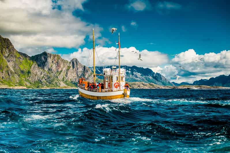 Imagen del tour: Lofoten: viaje de pesca tradicional