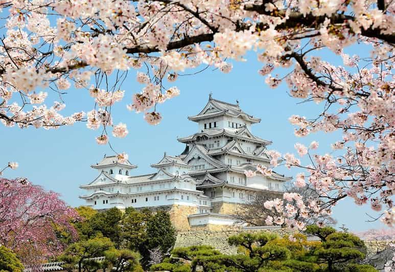 Imagen del tour: Himeji: Excursión Privada Personalizada con Guía Titulado