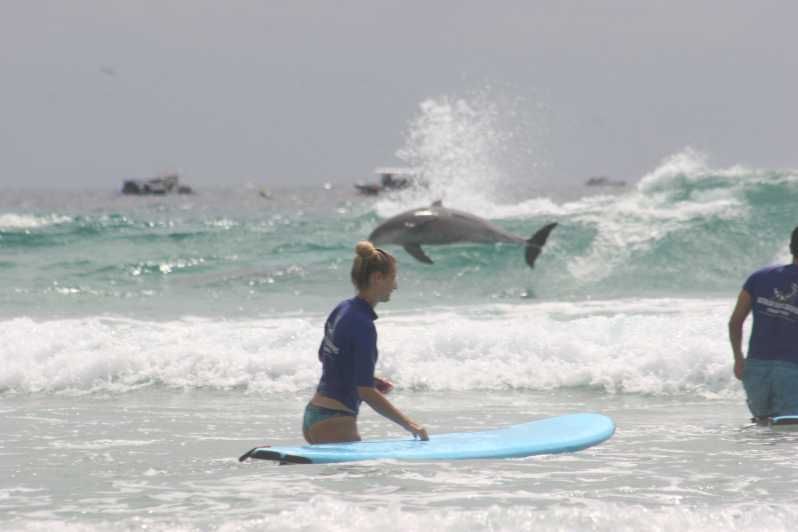 Imagen del tour: Miami: Clase de surf en grupo