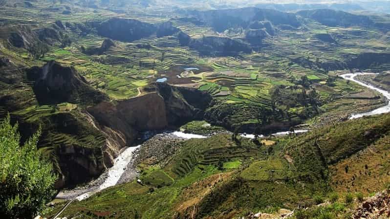 Imagen del tour: De Puno a Arequipa: Excursión de 2 días/1 noche al Cañón del Colca