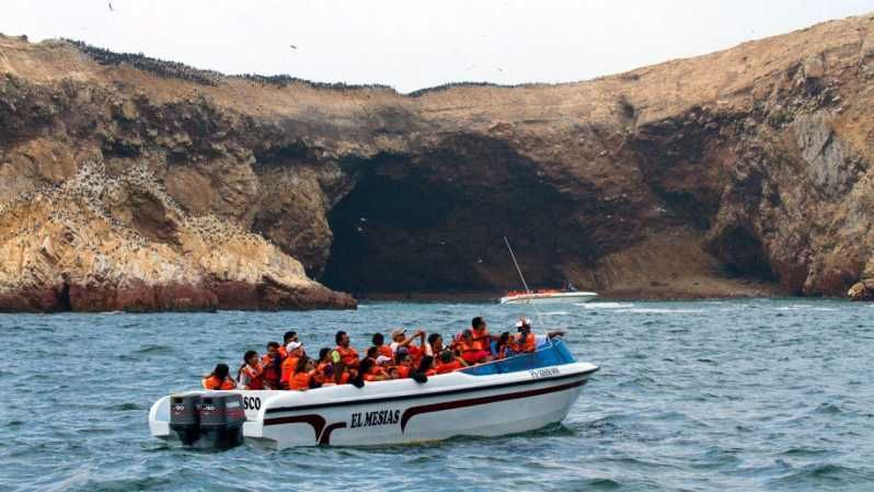 Imagen del tour: Nada con leones marinos en la Isla Palomino