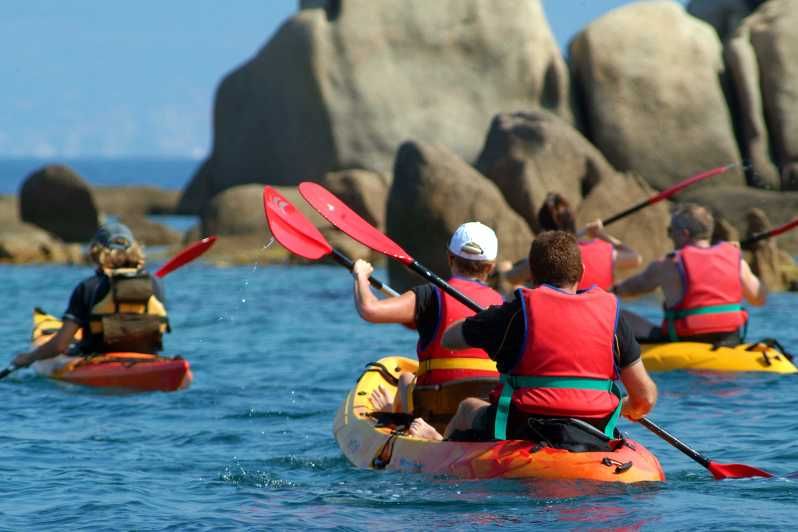 Imagen del tour: Porticcio: tour guiado en kayak