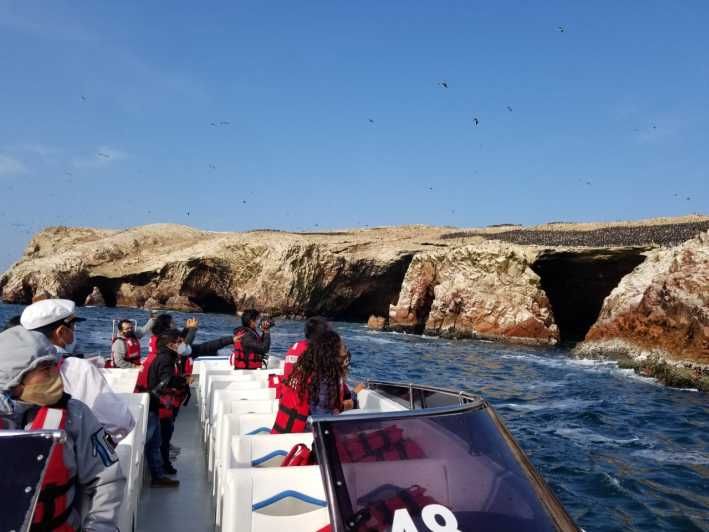 Imagen del tour: Paracas: tour panorámico en barco a las islas Ballestas