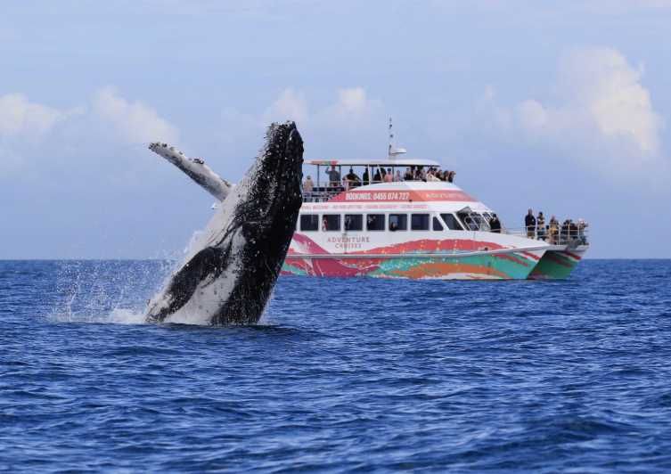 Imagen del tour: Bahía de Hervey Crucero de medio día para avistar ballenas