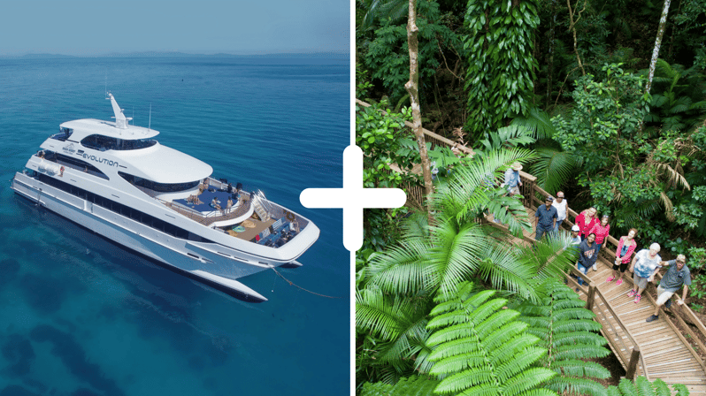 Imagen del tour: Cairns: Excursión de 2 días a la Gran Barrera de Coral y la Selva Tropical de Daintree