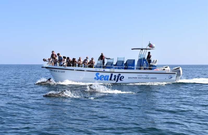 Imagen del tour: Lagos: Observación de delfines con biólogos marinos