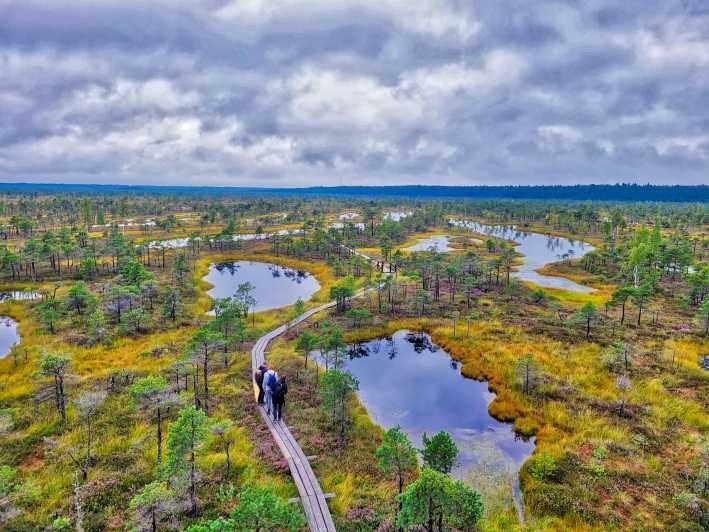 Imagen del tour: Riga: Lo mejor del Parque Nacional de Kemeri en un día