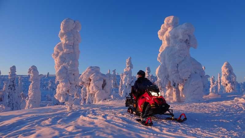 Imagen del tour: Levi: Safari nocturno en moto de nieve