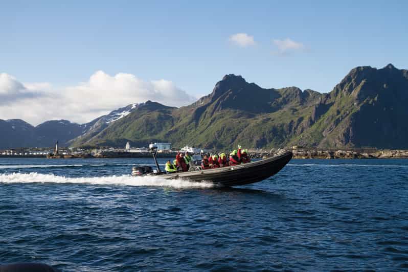 Imagen del tour: Desde Svolvær Crucero RIB Sea Eagle Safari por el Trollfjord