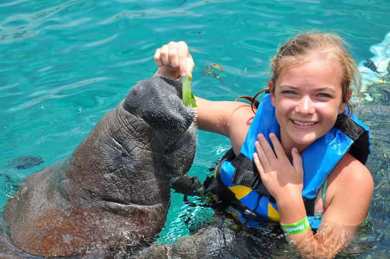 Imagen del tour: Cozumel: encuentro de manatíes con entrada al parque Chankanaab