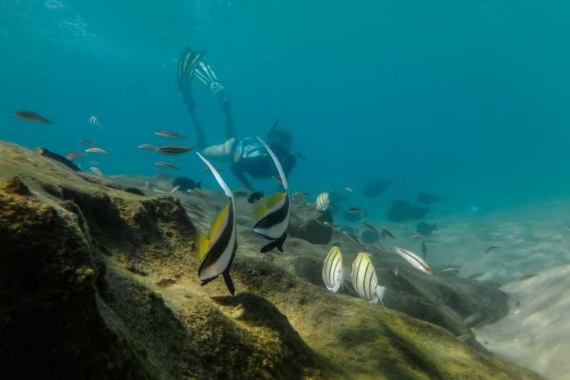 Imagen del tour: Bahía de Kosi: Aventura de snorkel con bebida caliente