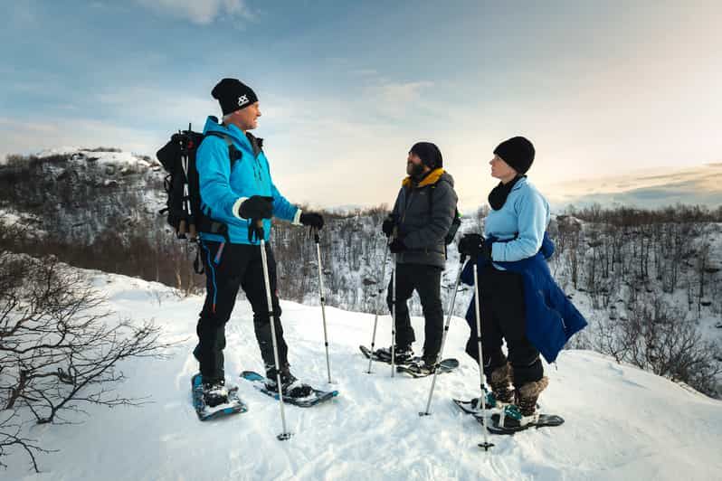 Imagen del tour: Svolvær: explorador de la naturaleza con raquetas de nieve