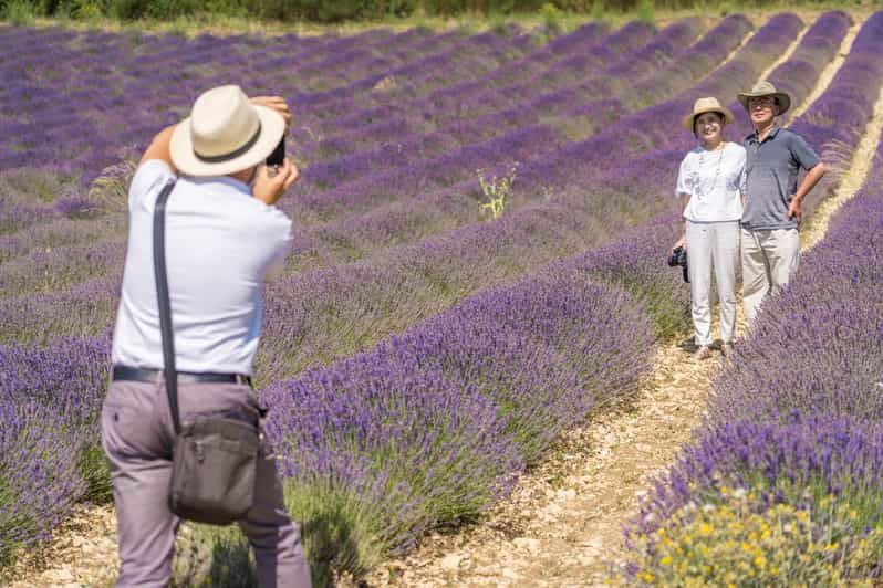 Imagen del tour: Desde Marsella: Excursión a las Lavandas de Valensole desde el Puerto de Cruceros