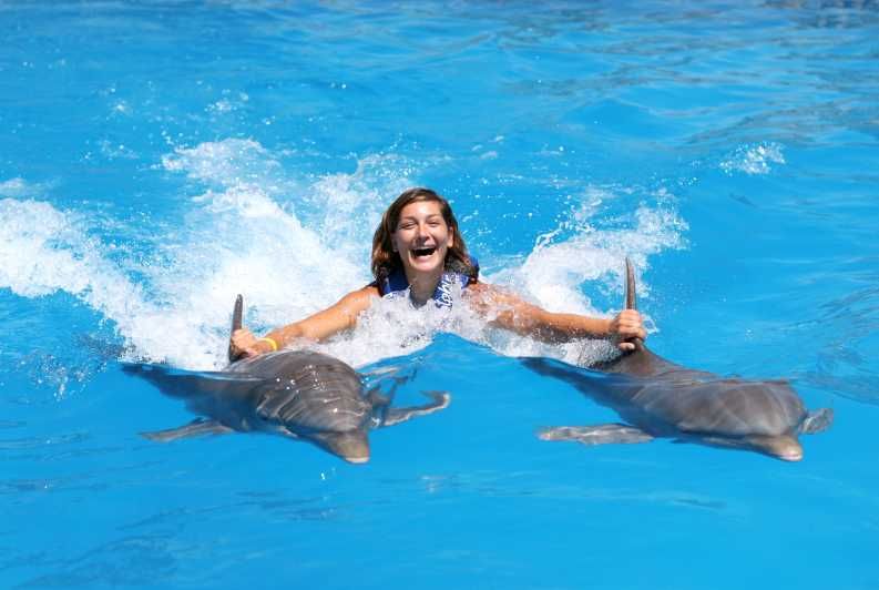 Imagen del tour: Cozumel: nado real con delfines