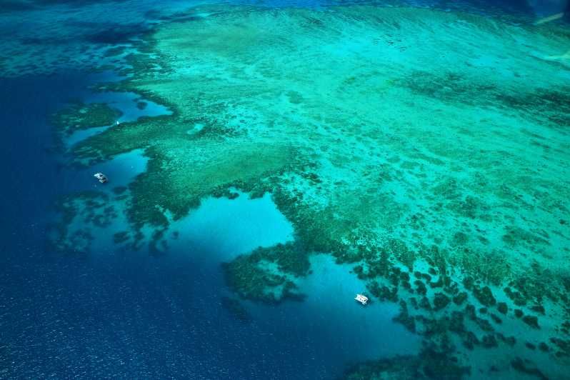 Imagen del tour: Cairns: bordes exteriores del vuelo panorámico de la Gran Barrera de Coral