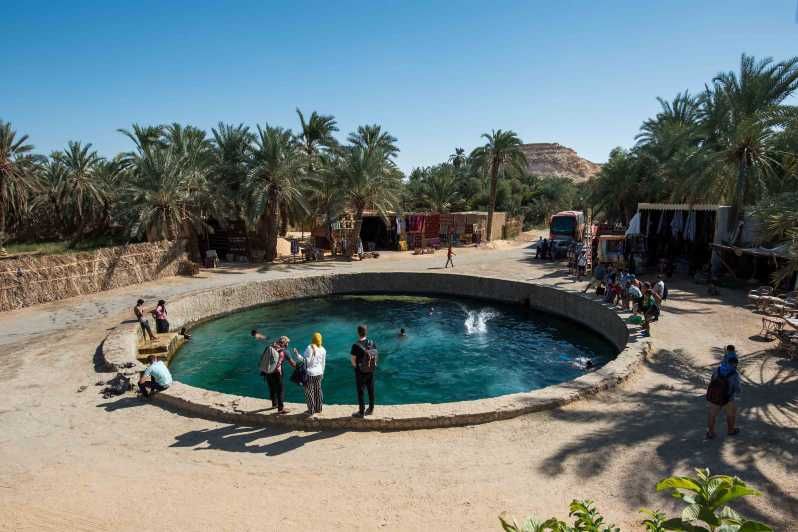 Imagen del tour: Desde El Cairo: Visita de 3 días al Museo, Fuerte y Desierto del Oasis de Siwa