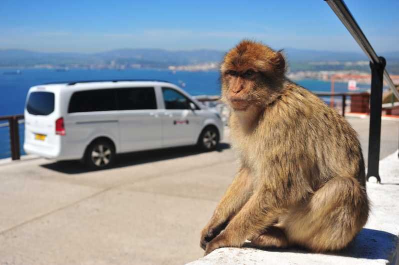 Imagen del tour: Gibraltar: Tour privado de lo más destacado con tickets de entrada