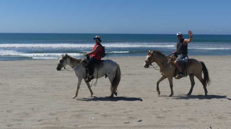 Imagen del tour: .playa Paseos a caballo Liberación de tortugas Experiencia en una granja de cocodrilos