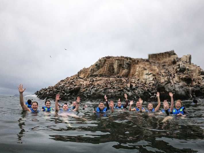 Imagen del tour: Callao: tour en barco y baño con leones marinos Islas Palomino