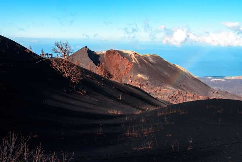 Imagen del tour: La Palma: tour guiado de senderismo por el volcán