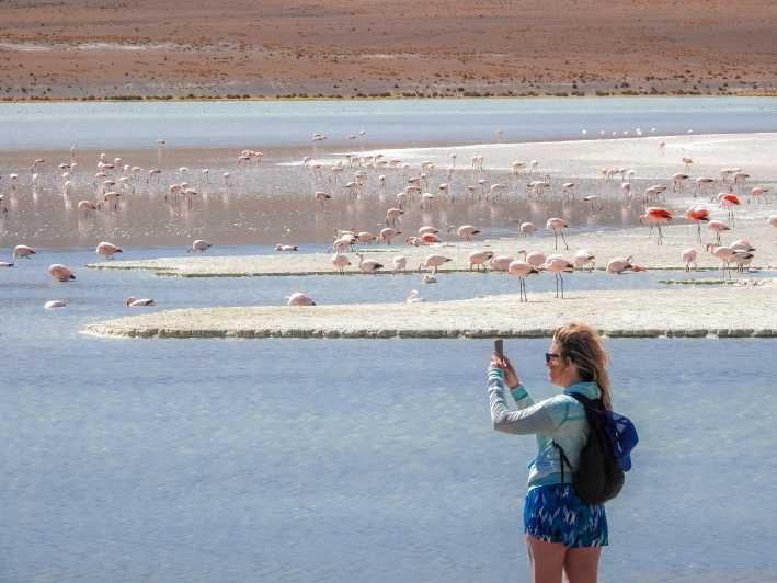 Imagen del tour: Desde Uyuni: tour guiado de 3 días por la laguna roja y el salar de Uyuni
