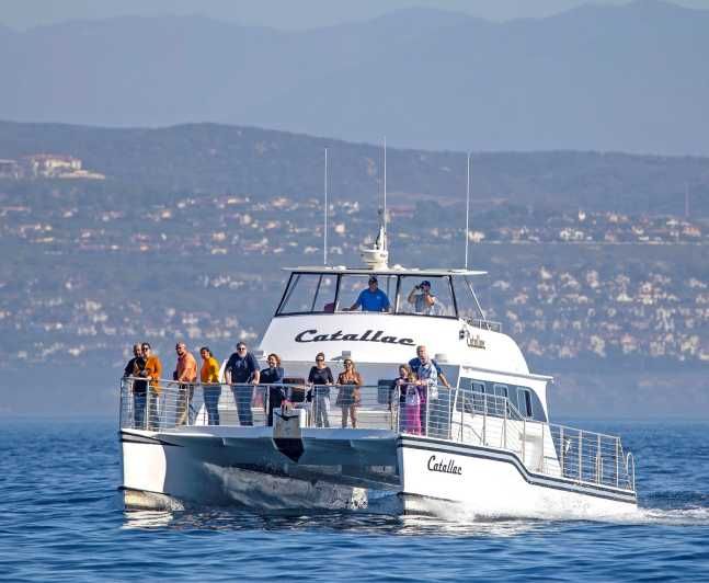 Imagen del tour: Newport Beach: crucero en catamarán de avistamiento de ballenas de lujo