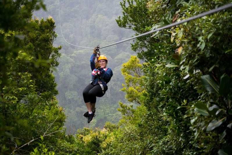Imagen del tour: Monteverde: Tirolina en la selva y columpio de Tarzán con traslado