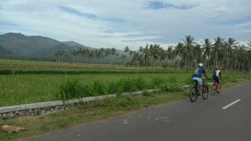 Imagen del tour: Lombok: Excursión de medio día en bicicleta por la ciudad y la campiña de Pengsong