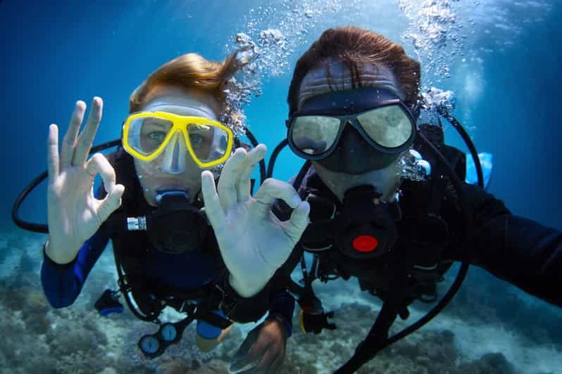 Imagen del tour: Desde Muğla Medio Día de Buceo en Oludeniz