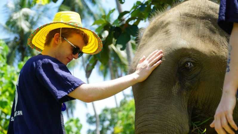 Imagen del tour: Koh Samui: Santuario ético de elefantes de media jornada con spa de barro