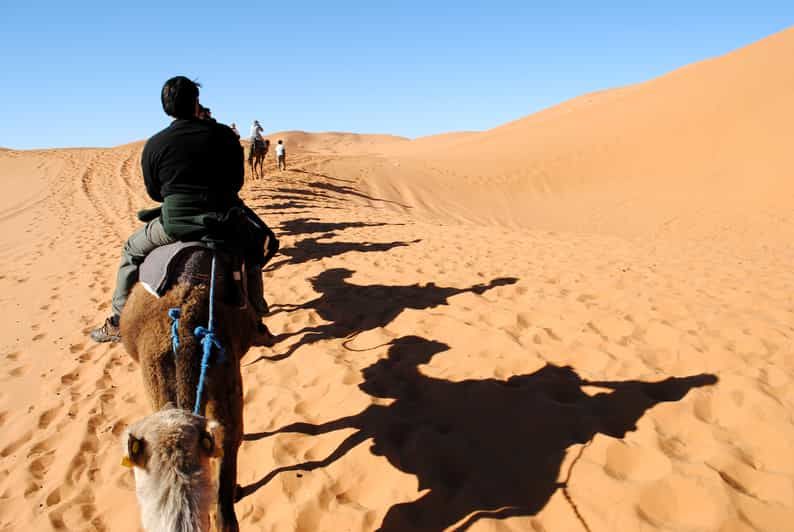 Imagen del tour: Agadir o Taghazout: paseo en camello por las dunas de arena del desierto