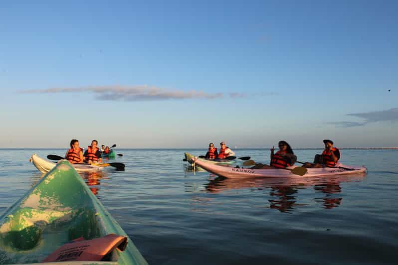 Imagen del tour: Holbox: Excursión guiada en Kayak al Amanecer por la Reserva de Manglares