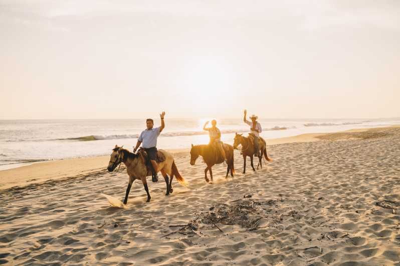Imagen del tour: Puerto Escondido: paseo a caballo al atardecer