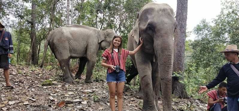 Imagen del tour: Chiang Mai: tour grupal de santuario de elefantes y cascada