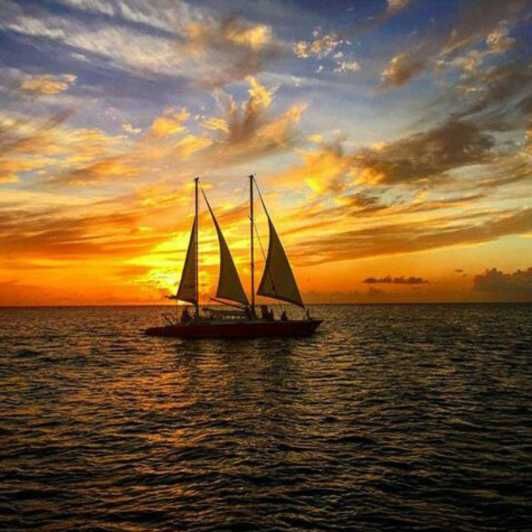 Imagen del tour: Barbados: Crucero al Atardecer, Tortugas y Naufragios con Aperitivos