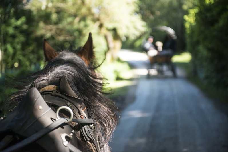 Imagen del tour: Killarney a caballo y en carruaje: Recorrido en coche de una hora