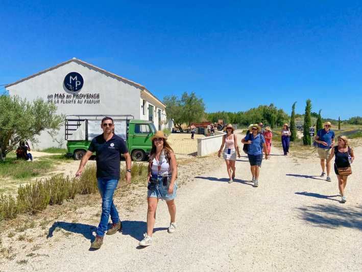 Imagen del tour: Excursión al Campo de Lavanda y la Destilería entre Nimes y Arles