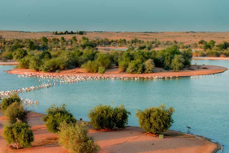 Imagen del tour: Dubai: Tour guiado por los lagos Al Marmoom y Al Qudra con cena