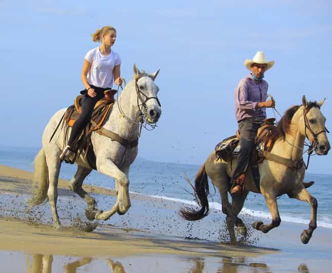 Imagen del tour: NUEVO! Sayulita: Paseos a Caballo por la Jungla y la Playa, con Tequila