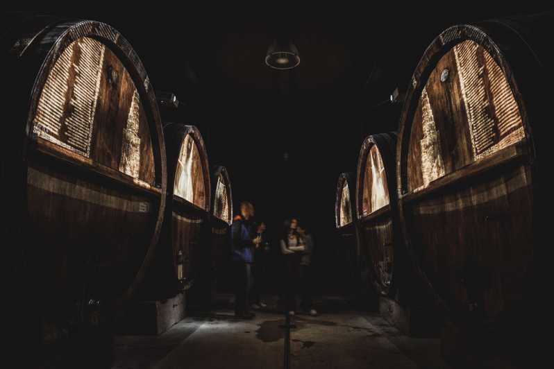 Imagen del tour: Alsacia: Cata guiada de vinos y visita a la bodega