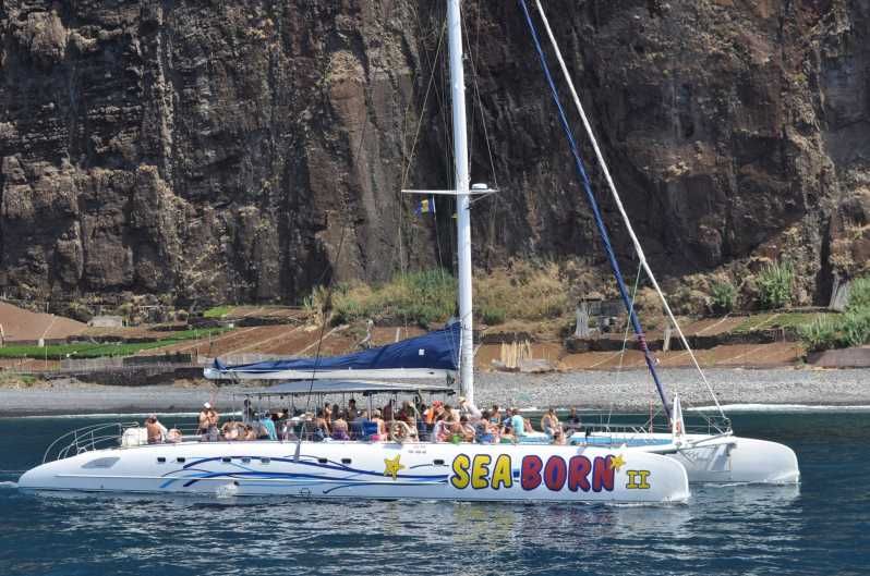 Imagen del tour: Funchal: Crucero en catamarán para avistamiento de delfines y ballenas